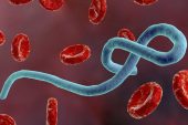 Ebola Virüs Hastalığı